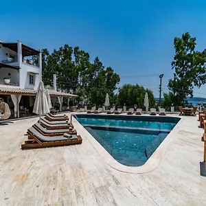 book here